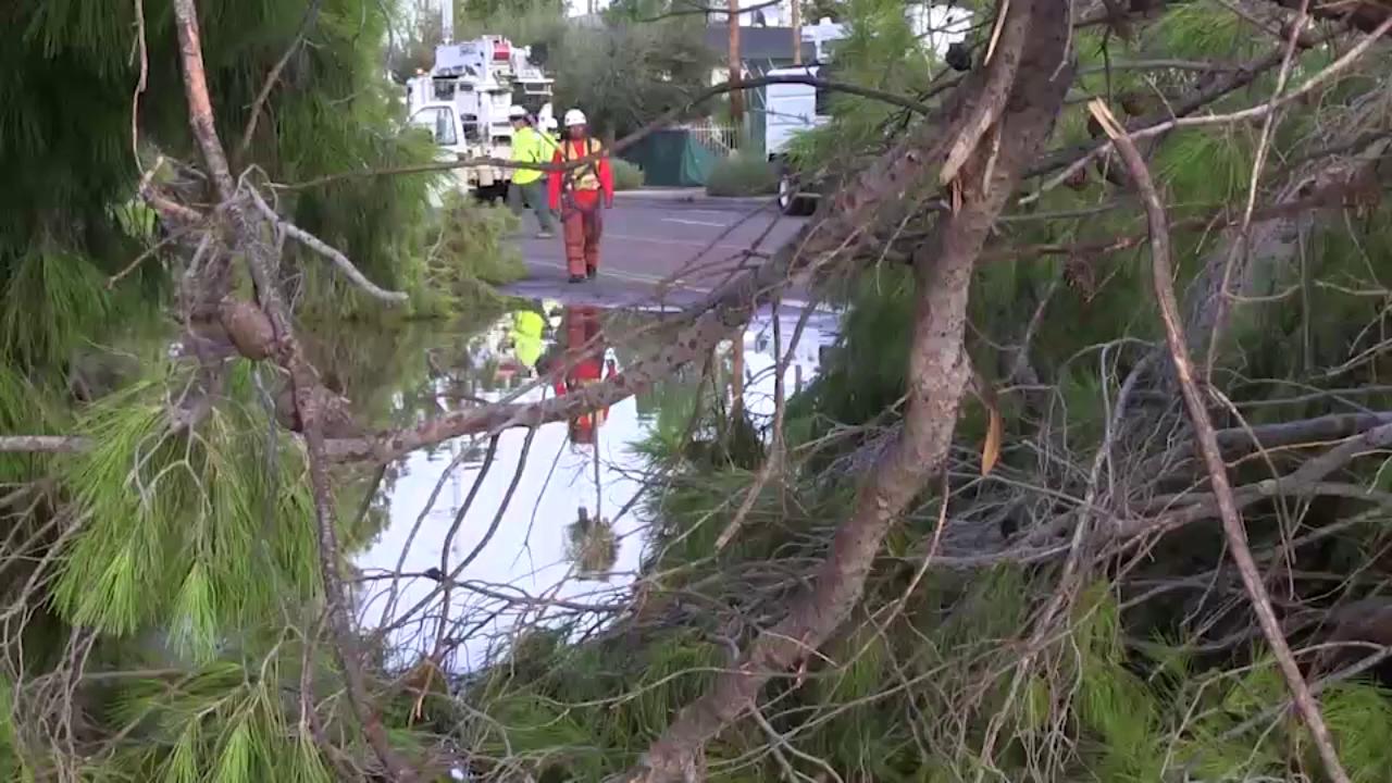 Raw video of storm cleanup after monsoon hit Phoenix on August 31