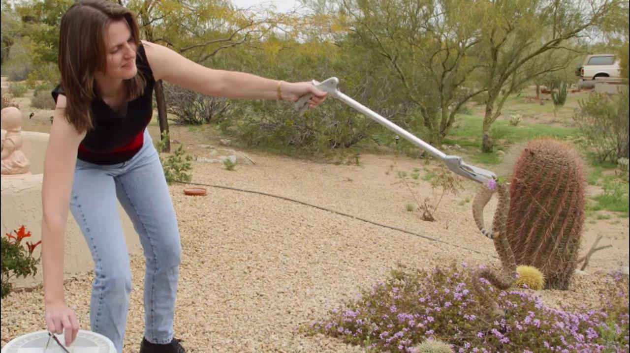 Man Tries To Eat Rattlesnake Snake Bites Back