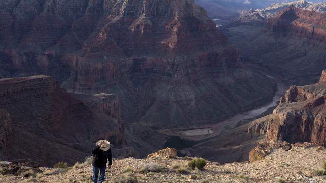 Grand Canyon Adventure River At Risk Download For Mac