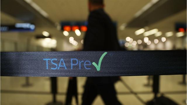 Airport Security Tsa Precheck Vs Global Entry Vs Clear