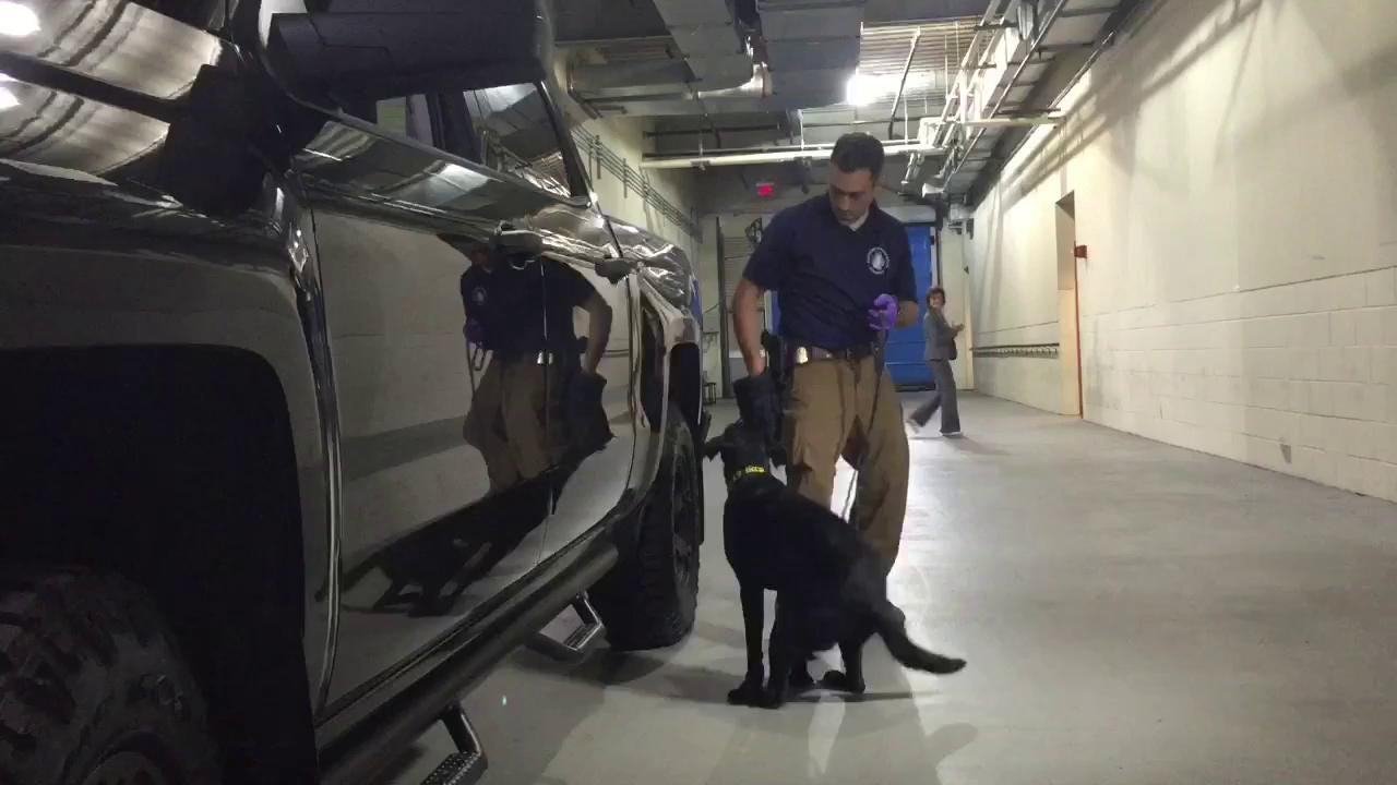 WATCH: Meet Iris the FBI dog