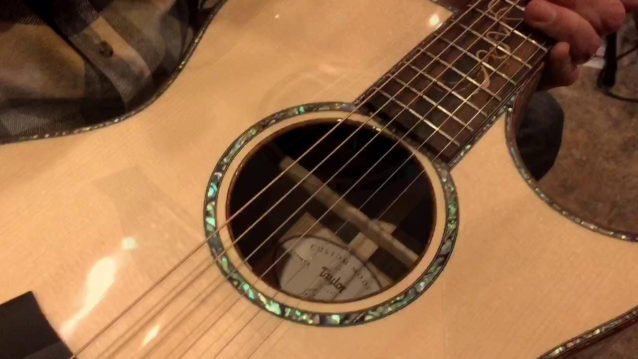 Taylor guitars serial number lookup