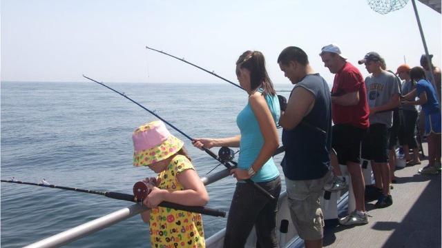Sea bass fishing: get them while they're hot