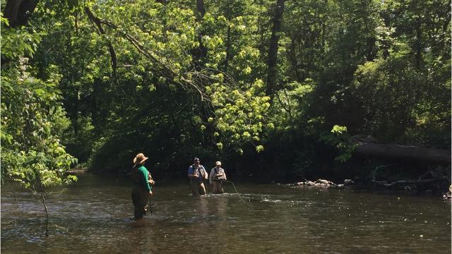 musconetcong gorge fishing