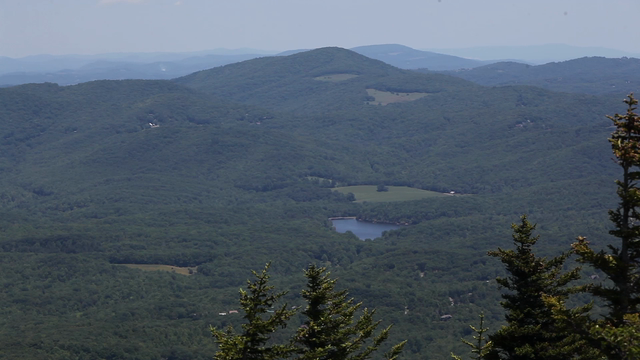 Hiking At Grandfather Mountain