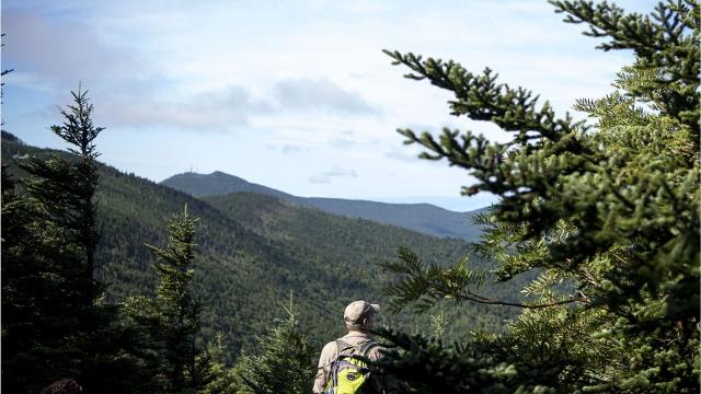 A Complete Guide Of Places To Hike In Wnc