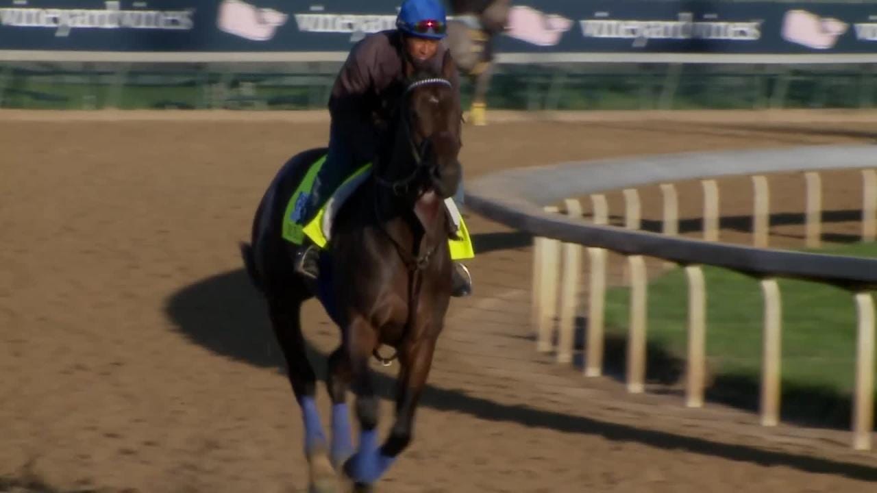 Joe Sharp Racing Spouses Joe Sharp, Rosie Napravnik team up for Girvin's Kentucky Derby bid