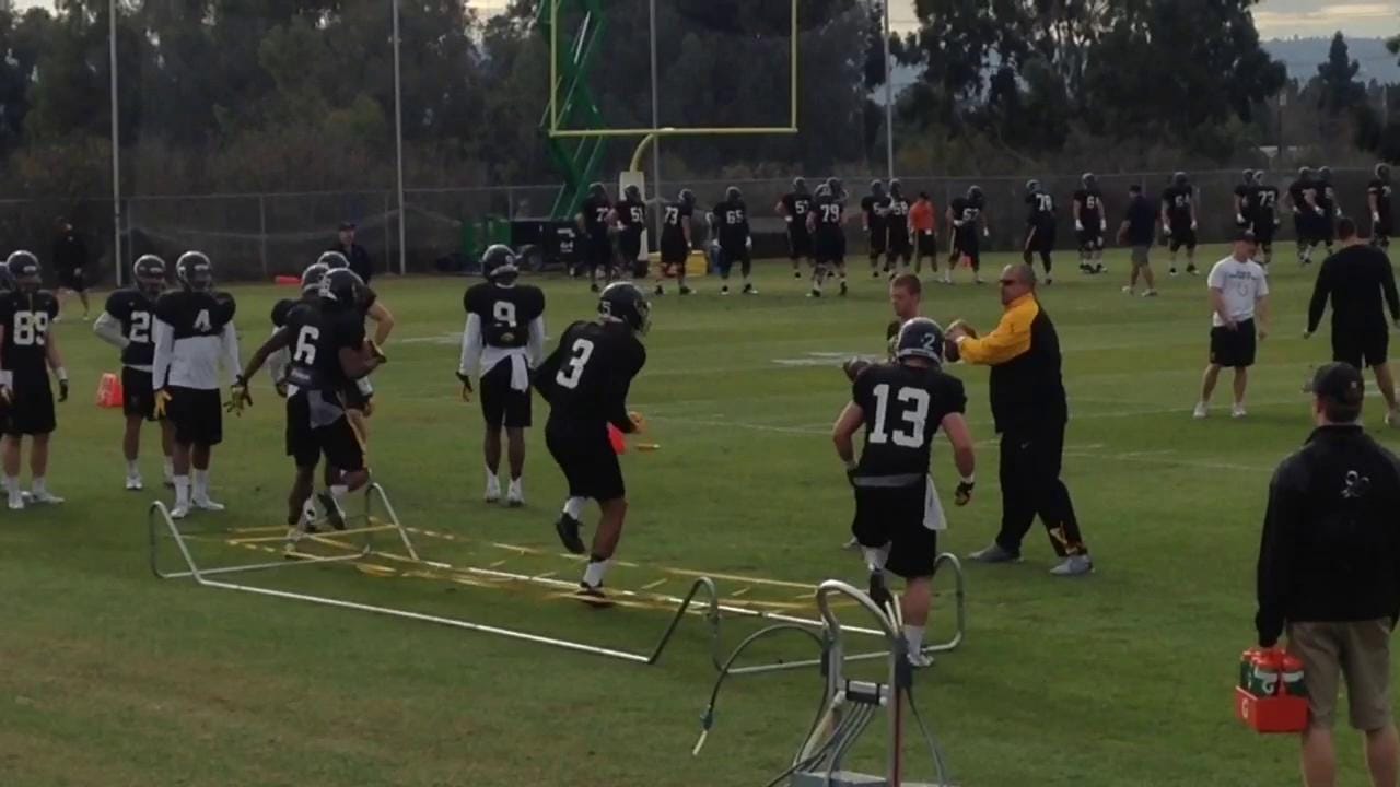 Step Out Notebook Rose Bowl notebook: 3 is the magic number for Iowa's 'D'