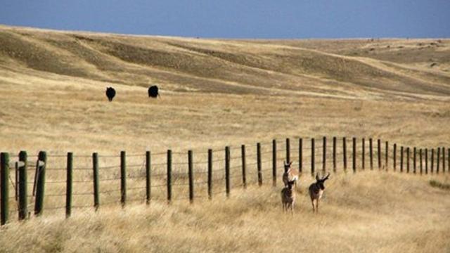 Who Owns Montana Top 10 Landowners