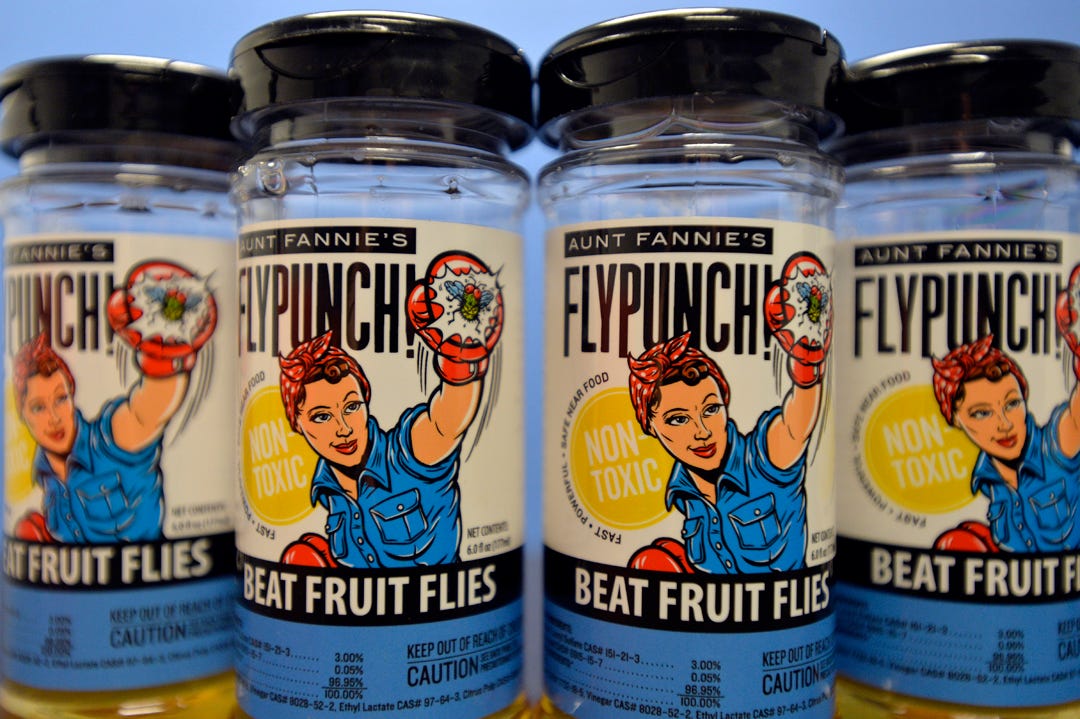 FlyPunch! founder builds brand for natural fruit fly killer from Greenville