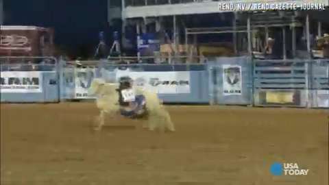 Mutton busting event gives rodeo kids a wild ride