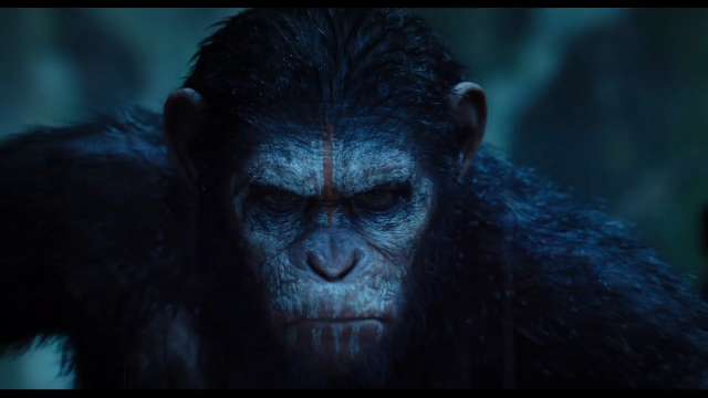 Jons Movie Review Dawn of the Planet of the Apes brings new hope this  summer