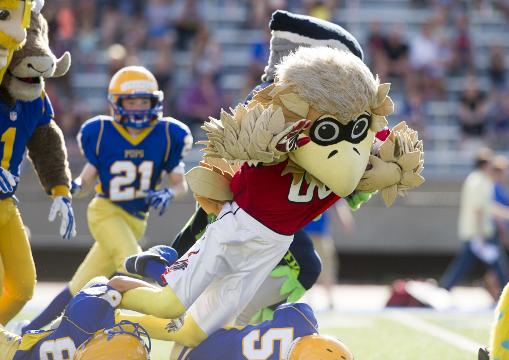 NFL Mascots take on pee-wee football players