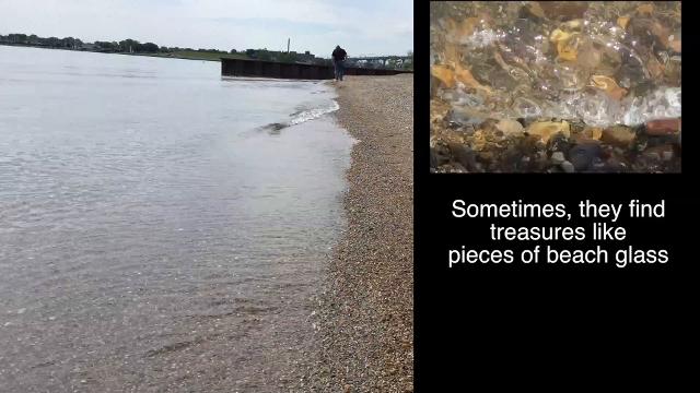 Beachcombers Look For Treasures