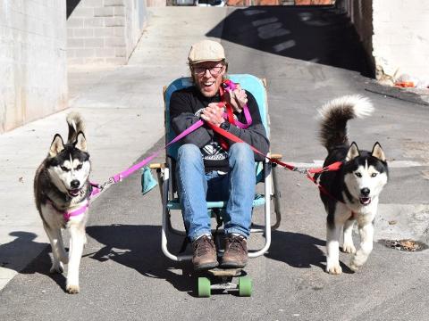 Street hot sale dog sled