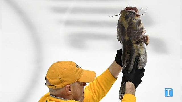 How catfish toss came to be a Predators' thing