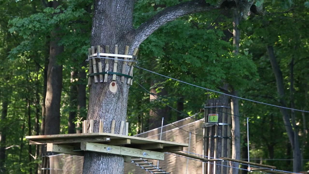 After Go Ape Death Delaware Lawmakers Scrutinize Zip Line Rules