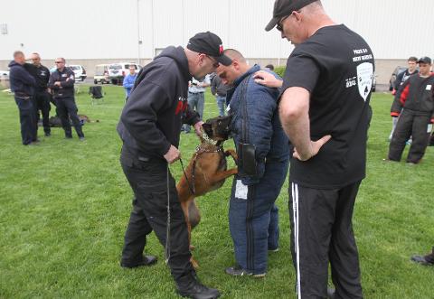 Petshop7 K9 Police Dog Harness Dog Vest Harness with Hook and Loop Straps  and Handle with Adjustable Large Black
