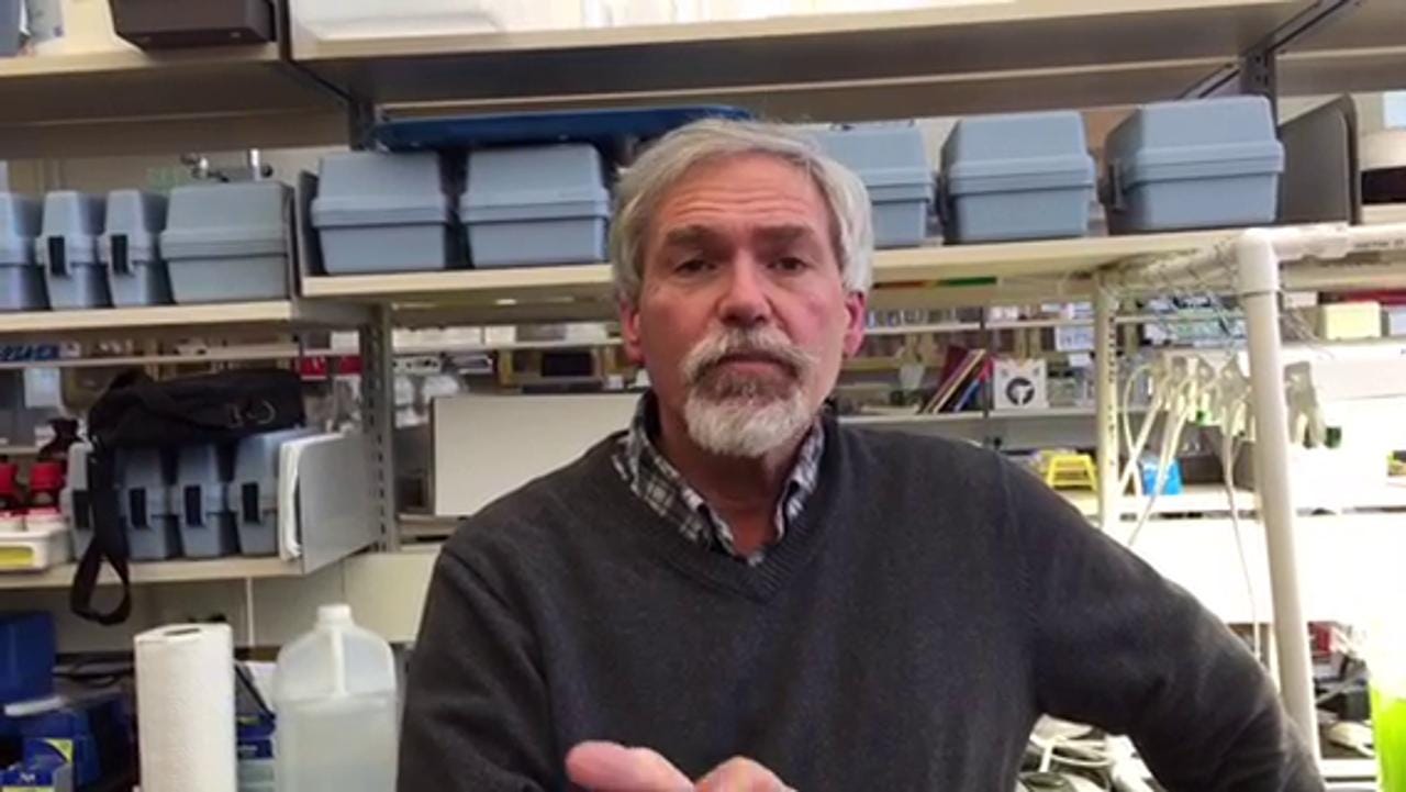 Russell Ritota RIT prof's reputation in waste reaches Trump Organization