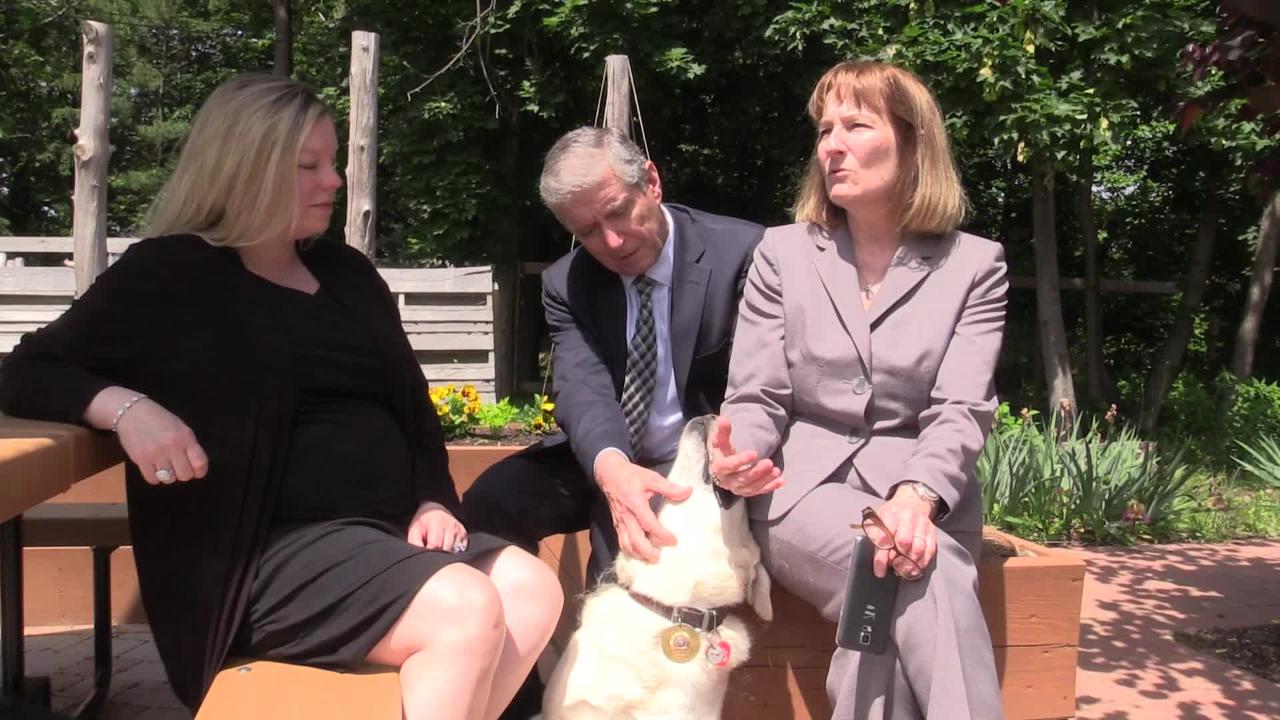 Video How Lily the dog helps child sex abuse victims pic